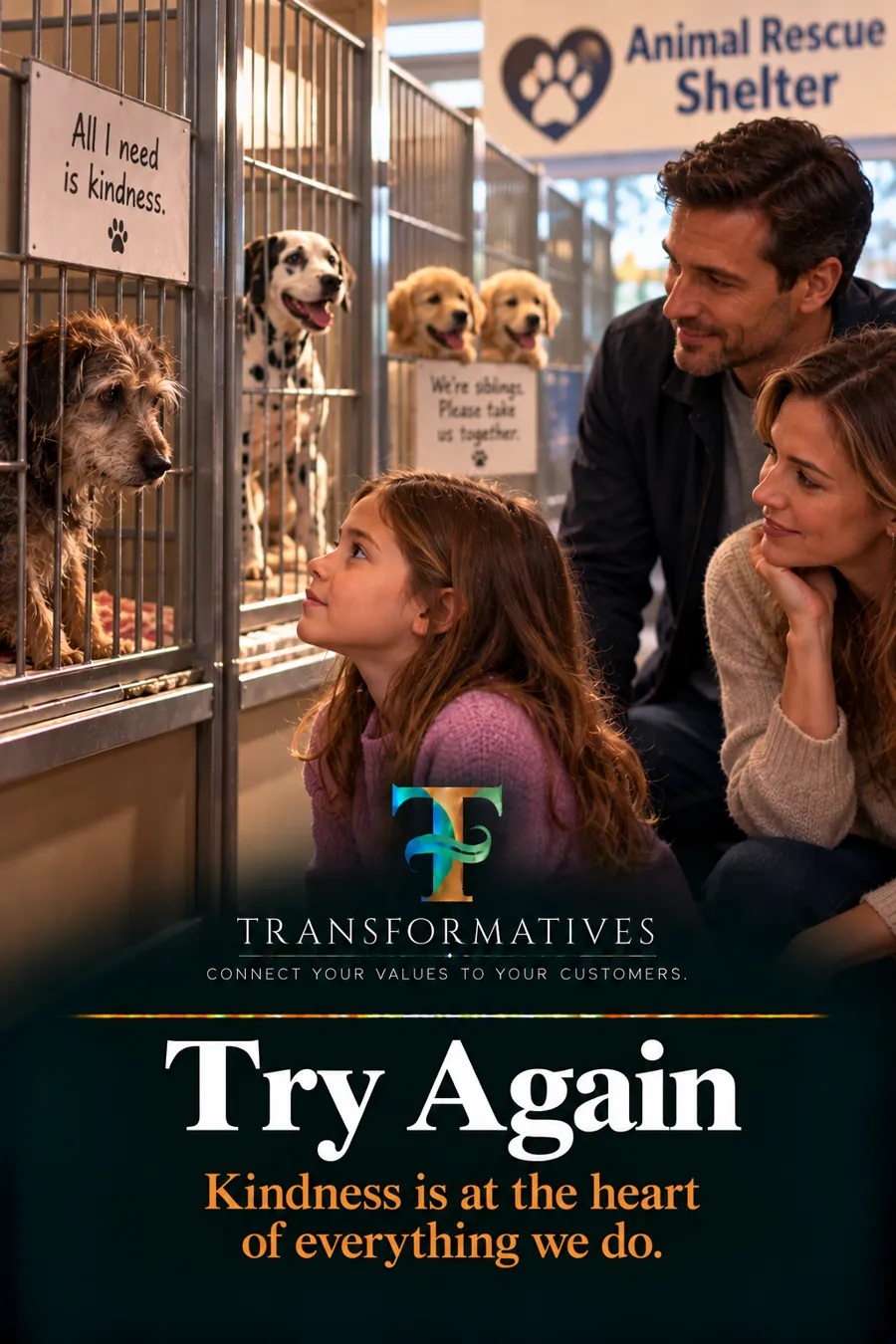 Try Again poster